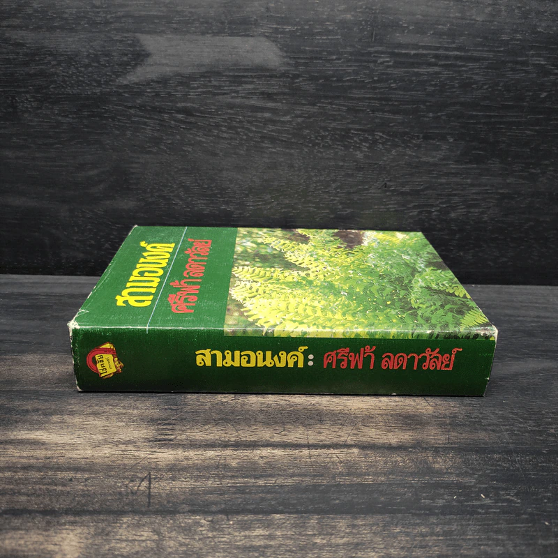 สามอนงค์ - ศรีฟ้า ลดาวัลย์ รูปที่ 3