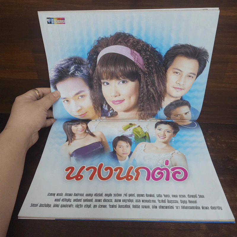 นางนกต่อ เรื่องย่อละคร ชีวิตดารา รูปที่ 2