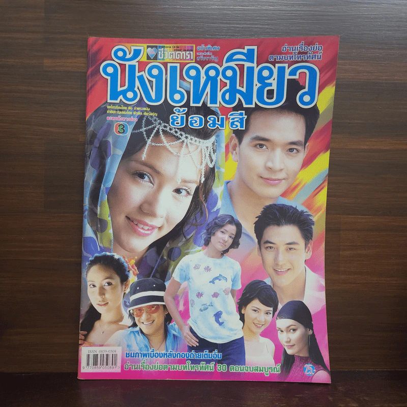 นังเหมียวย้อมสี เรื่องย่อละคร ชีวิตดารา รูปที่ 1