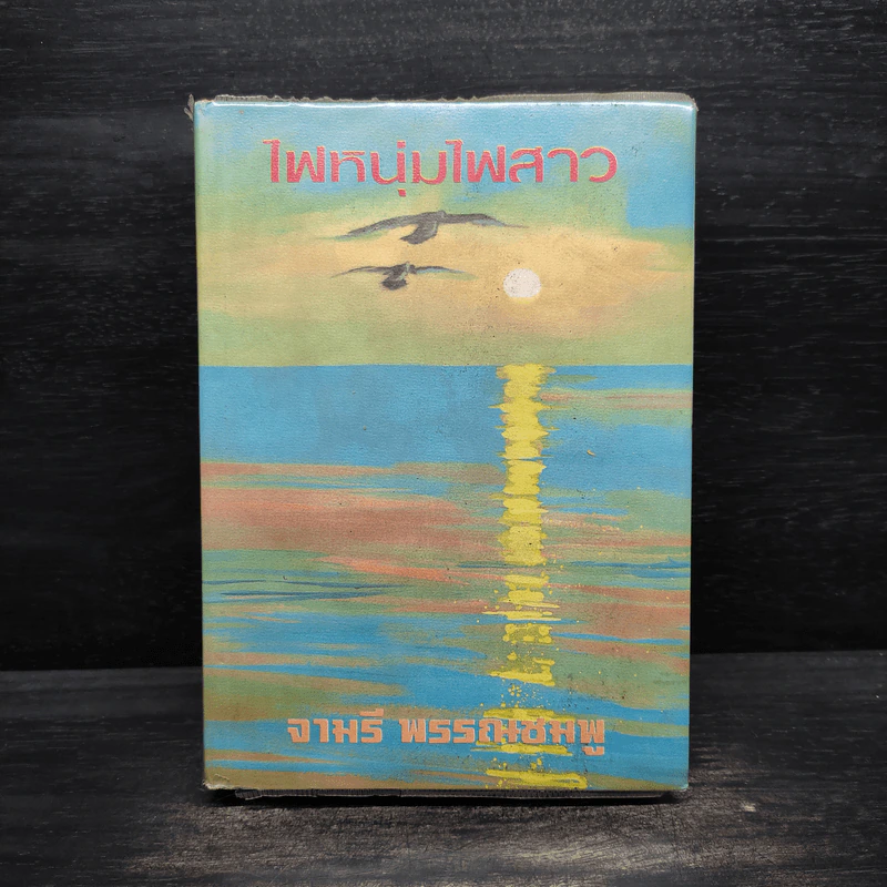 ไฟหนุ่มไฟสาว - จามรี พรรณชมพู รูปที่ 1