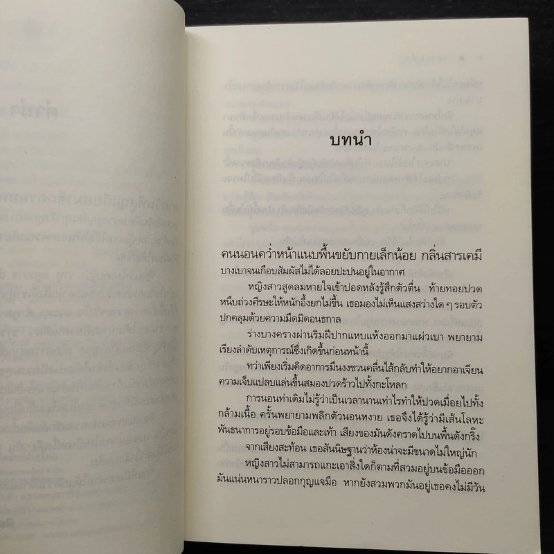 เงาเสน่หา - นราเกตต์ รูปที่ 6