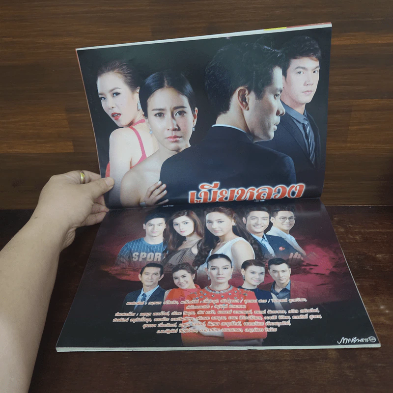 เมียหลวง เรื่องย่อละคร ภาพยนตร์บันเทิง รูปที่ 2