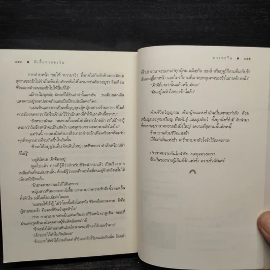 ผีเสื้อลายตะวัน - ดวงตะวัน รูปที่ 7