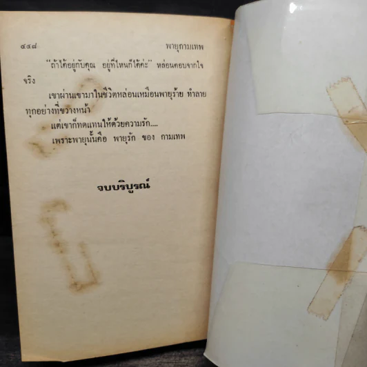 พายุกามเทพ - จามรี พรรณชมพู รูปที่ 6