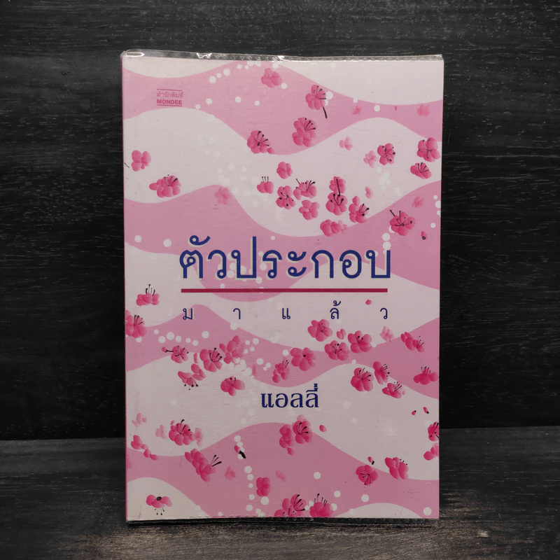 ตัวประกอบมาแล้ว - แอลลี่ รูปที่ 1