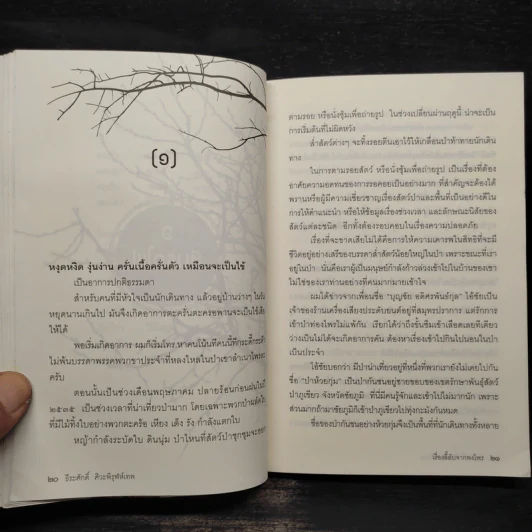 เรื่องลี้ลับจากพงไพร - ธีระศักดิ์ ศิวะพิรุฬห์เทพ รูปที่ 6