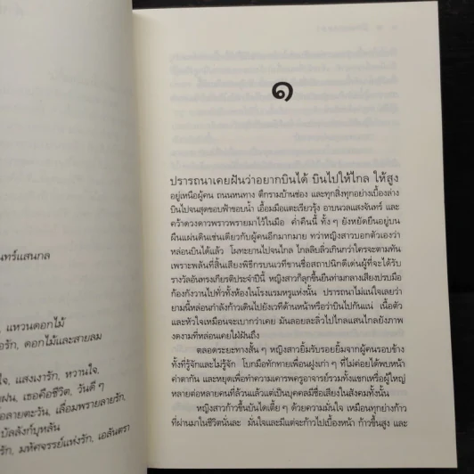 ปีกปรารถนา - ดวงตะวัน รูปที่ 6