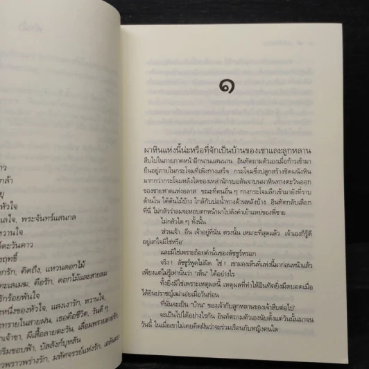เอลันตรา - ดวงตะวัน รูปที่ 6