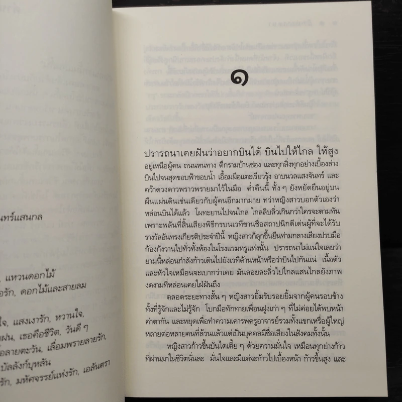 ปีกปรารถนา - ดวงตะวัน รูปที่ 6