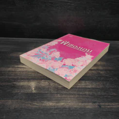 ฟ้าของเอม - แอลลี่ รูปที่ 4
