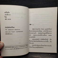 แก้วไพลิน - วลัย นวาระ รูปที่ 5