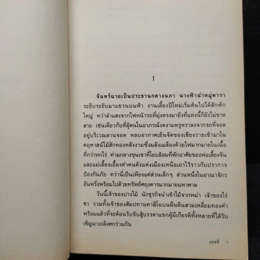 คชินทร์สาทุธาร - แอลลี่ รูปที่ 6