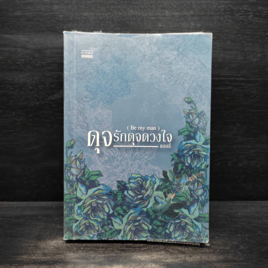 ดุจรักดุจดวงใจ - แอลลี่ รูปที่ 1
