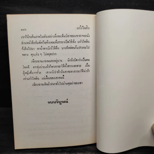 แก้วไพลิน - วลัย นวาระ รูปที่ 6