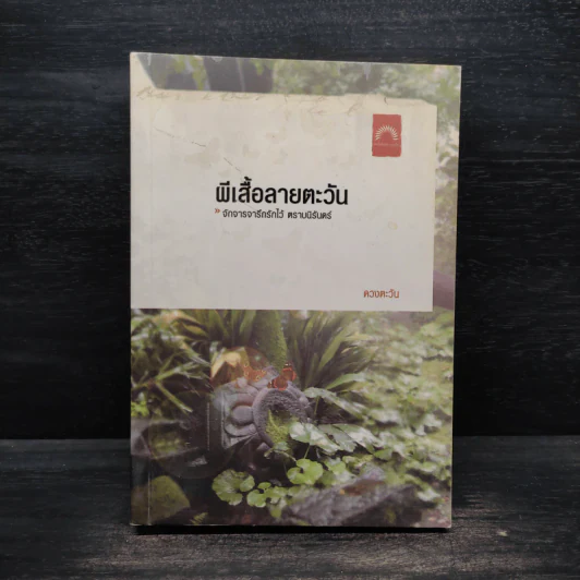 ผีเสื้อลายตะวัน - ดวงตะวัน รูปที่ 1