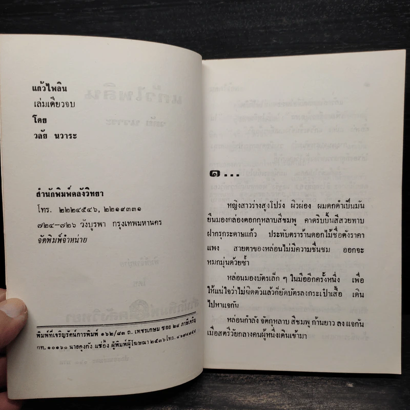แก้วไพลิน - วลัย นวาระ รูปที่ 5