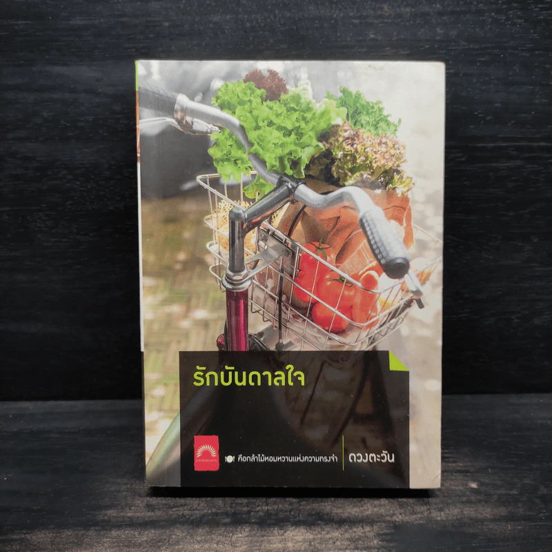 รักบันดาลใจ - ดวงตะวัน รูปที่ 1