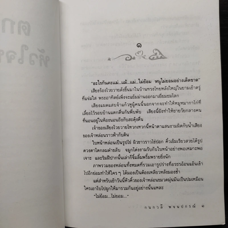 ตกกระไดหัวใจพลอยโจน - กนกวลี พจนปกรณ์ รูปที่ 6