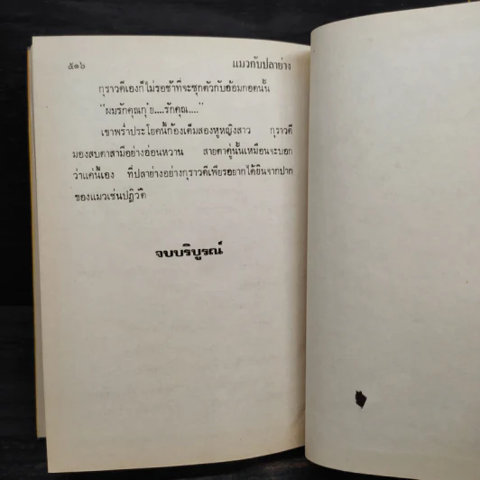 แมวกับปลาย่าง - กรุง ญ. ฉัตร รูปที่ 6
