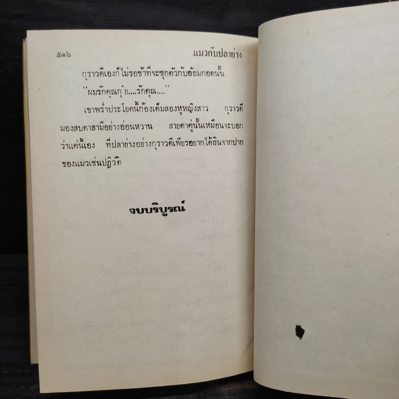 แมวกับปลาย่าง - กรุง ญ. ฉัตร รูปที่ 6