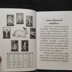 ตำราพยากรณ์สิบสองราศี ปีเถาะ รูปที่ 6