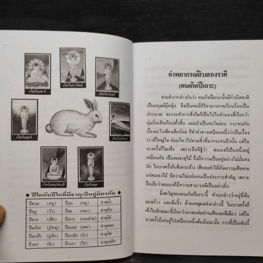ตำราพยากรณ์สิบสองราศี ปีเถาะ รูปที่ 6