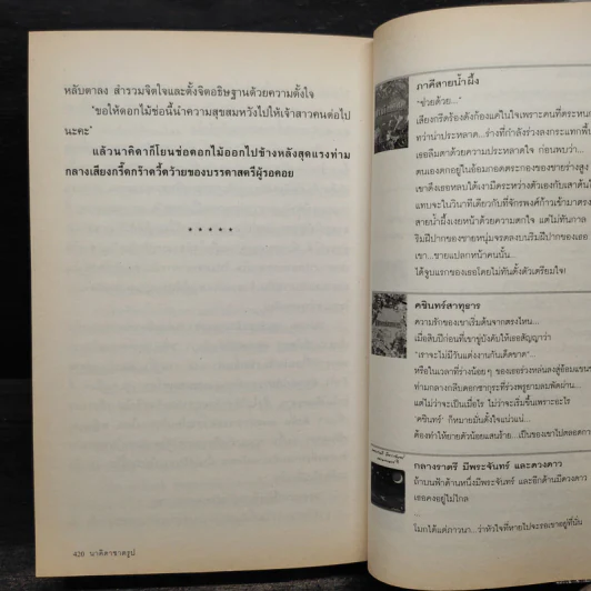 นาคิดาชาตรูป - แอลลี่ รูปที่ 7