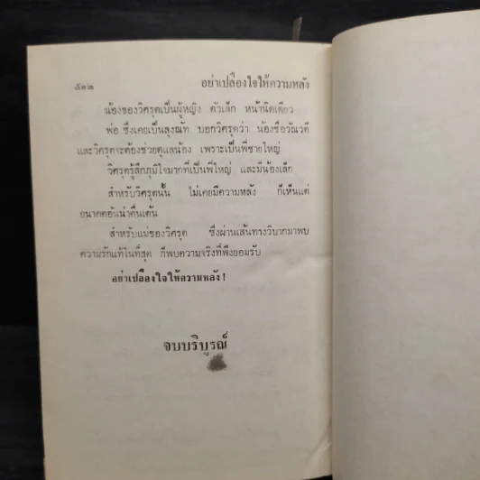 อย่าเปลืองใจให้ความหลัง - จามรี พรรณชมพู รูปที่ 6