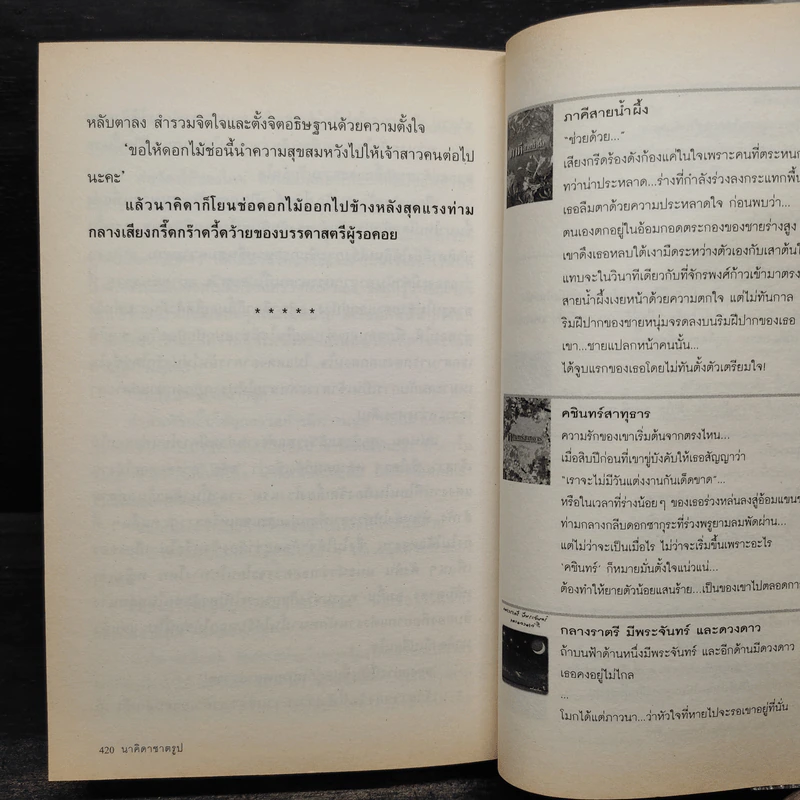 นาคิดาชาตรูป - แอลลี่ รูปที่ 7