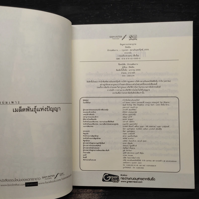 อังกฤษติดเกาะ - อีฟอลิน รูปที่ 5