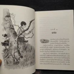 เสียงรักจากทรัมเป็ตหงส์ - อี.บี.ไวท์ รูปที่ 7