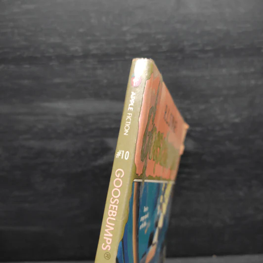 Goosebumps The Ghost Next Door - R.L.Stine รูปที่ 6