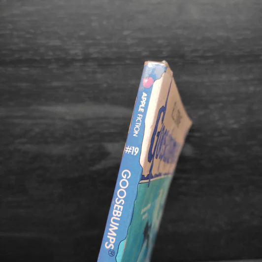 Goosebumps Deep Trouble - R.L.Stine รูปที่ 6