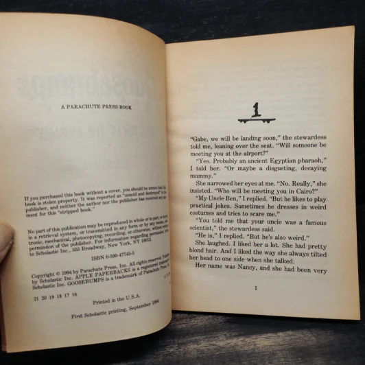 Goosebumps Return of the Mummy - R.L.Stine รูปที่ 5
