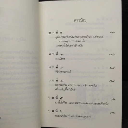 ดาวหางในเมืองมูมิน - ตูเว ยานซอน รูปที่ 7