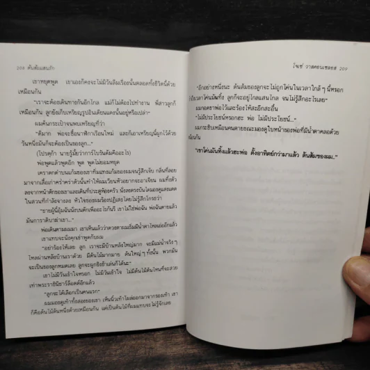 ต้นส้มแสนรัก ภาค 1 - โจเซ่ วาสคอนเซลอส รูปที่ 6