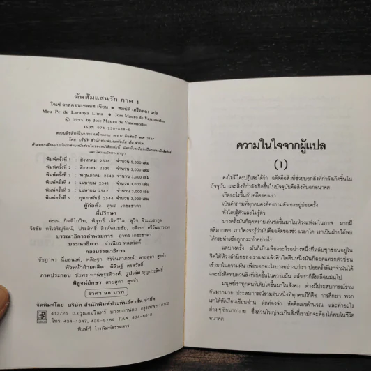 ต้นส้มแสนรัก ภาค 1 - โจเซ่ วาสคอนเซลอส รูปที่ 5