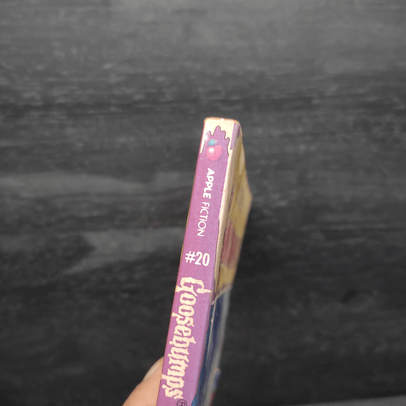 Goosebumps The Scarecrow Walks at Midnight - R.L.Stine รูปที่ 6