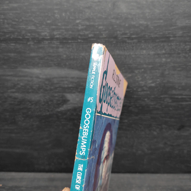 Goosebumps The Curse of the Mummy's Tomb - R.L.Stine รูปที่ 6