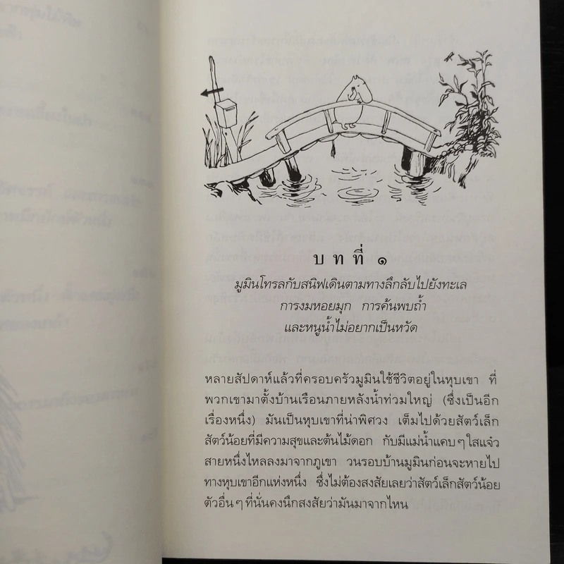 ดาวหางในเมืองมูมิน - ตูเว ยานซอน รูปที่ 9
