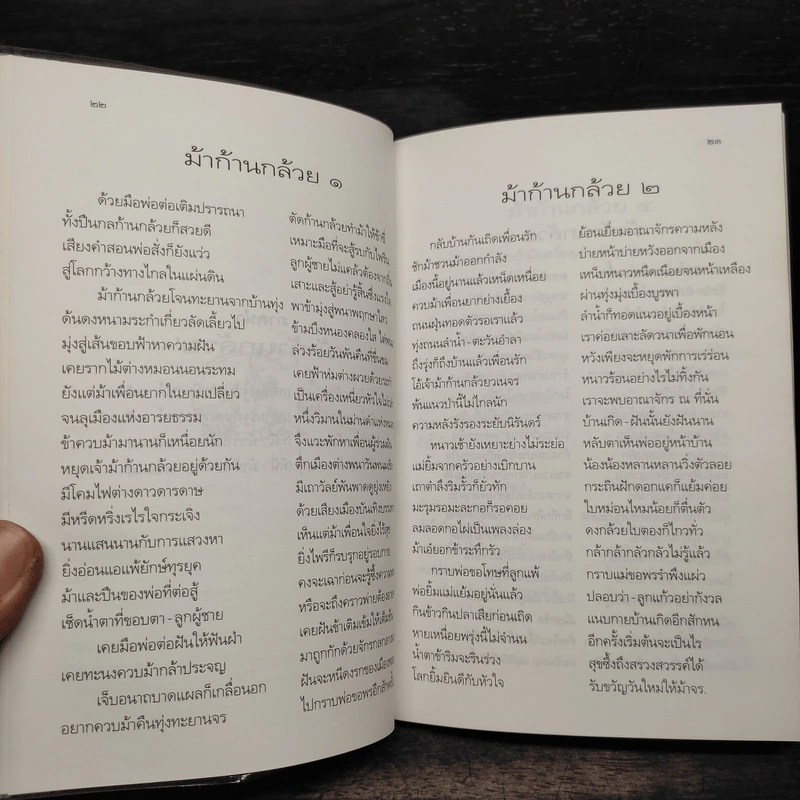 ม้าก้านกล้วย - ไพวรินทร์ ขาวงาม รูปที่ 7