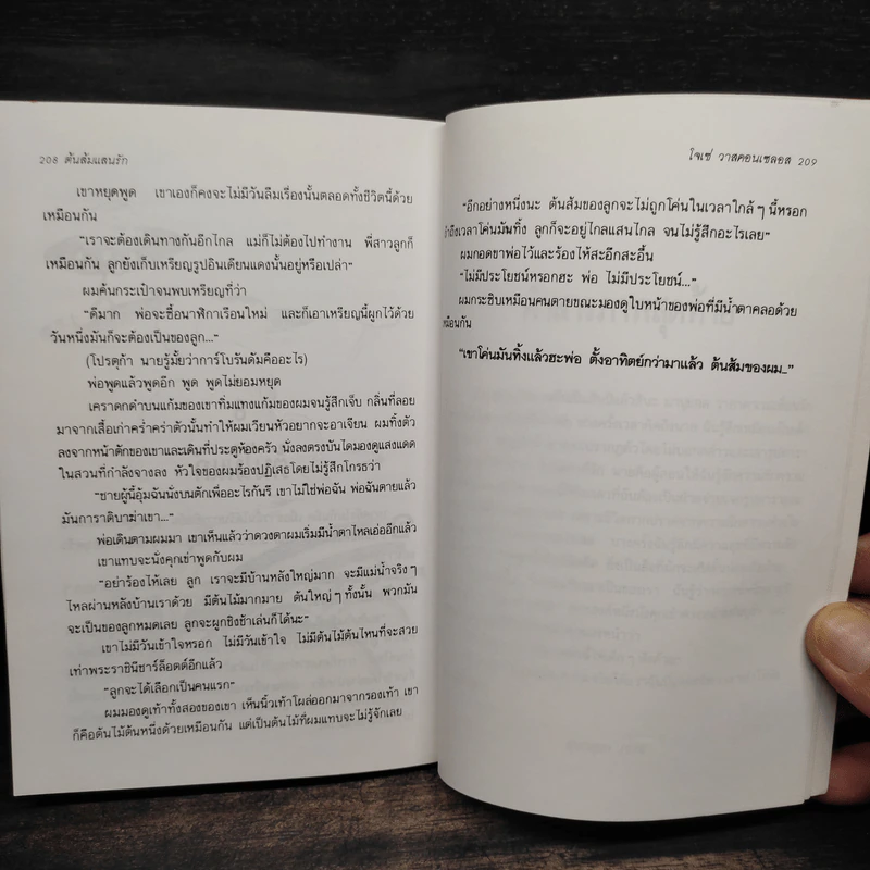 ต้นส้มแสนรัก ภาค 1 - โจเซ่ วาสคอนเซลอส รูปที่ 6