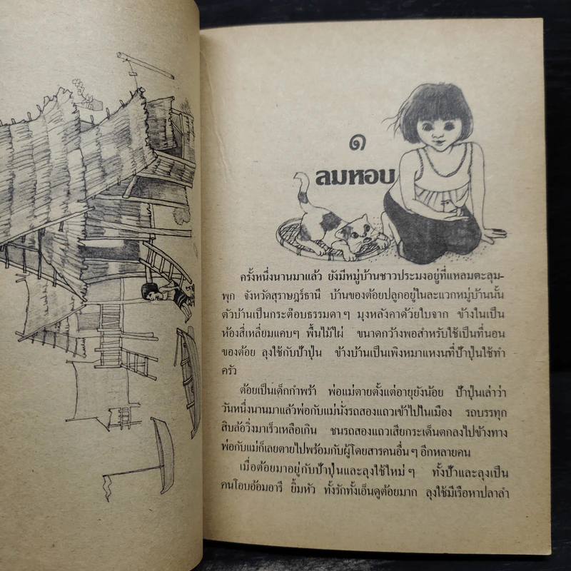 พ่อมดอ๊อด หนังสืออ่านสำหรับเยาวชน ชุด ก่อนนิทรา (2) รูปที่ 6