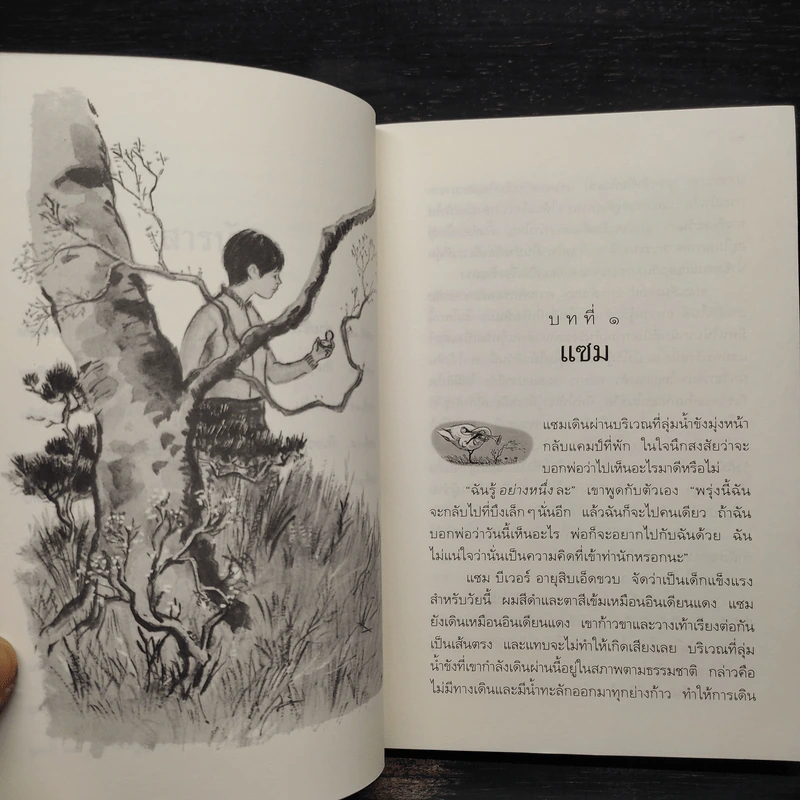 เสียงรักจากทรัมเป็ตหงส์ - อี.บี.ไวท์ รูปที่ 7