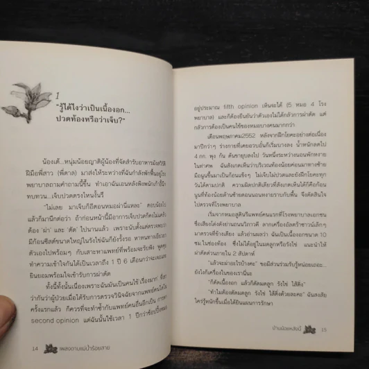 บ้านน้อยหลังนี้ - เพลงดาบแม่น้ำร้อยสาย รูปที่ 8