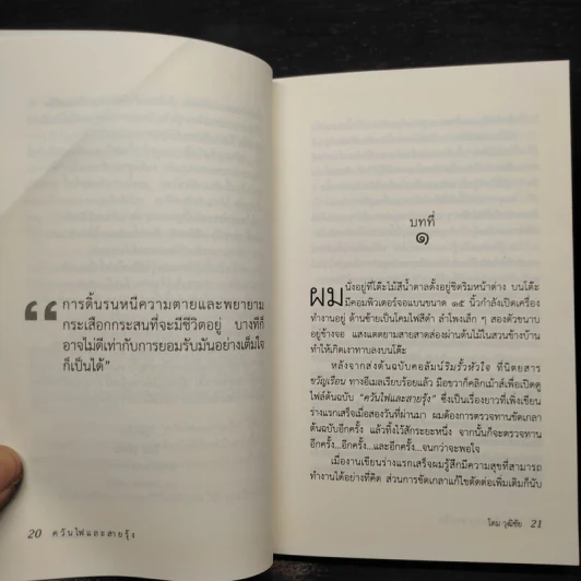 ควันไฟและสายรุ้ง - โดม วุฒิชัย รูปที่ 6
