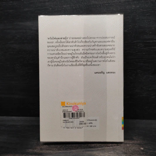 ควันไฟและสายรุ้ง - โดม วุฒิชัย รูปที่ 2