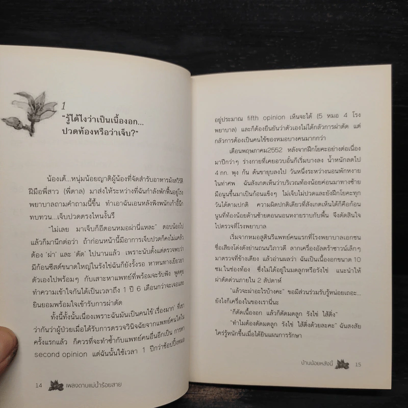 บ้านน้อยหลังนี้ - เพลงดาบแม่น้ำร้อยสาย รูปที่ 8