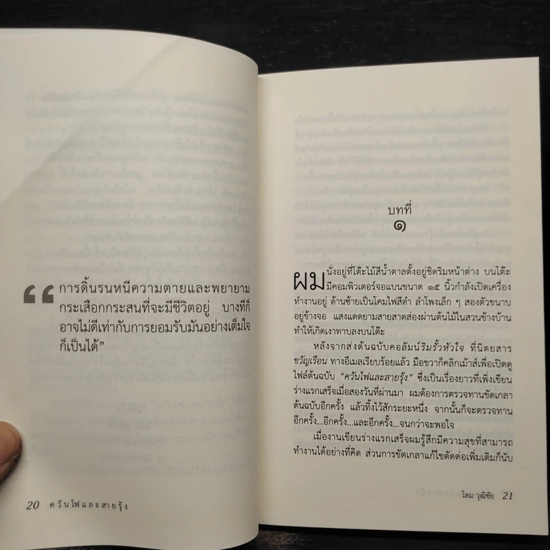 ควันไฟและสายรุ้ง - โดม วุฒิชัย รูปที่ 6