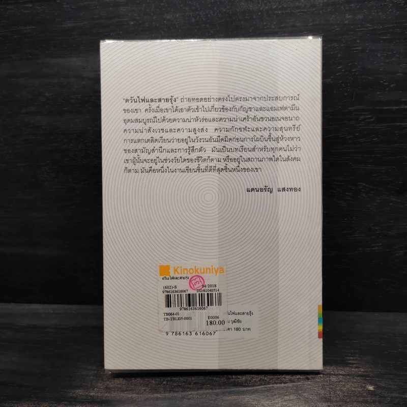 ควันไฟและสายรุ้ง - โดม วุฒิชัย รูปที่ 2